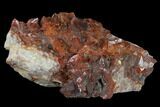 Natural, Red Quartz Crystal Cluster - Morocco #131359-2